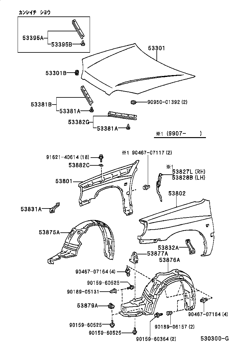 53827-46010 PROTECTOR, FRONT FENDER SIDE PANEL, RH product image
