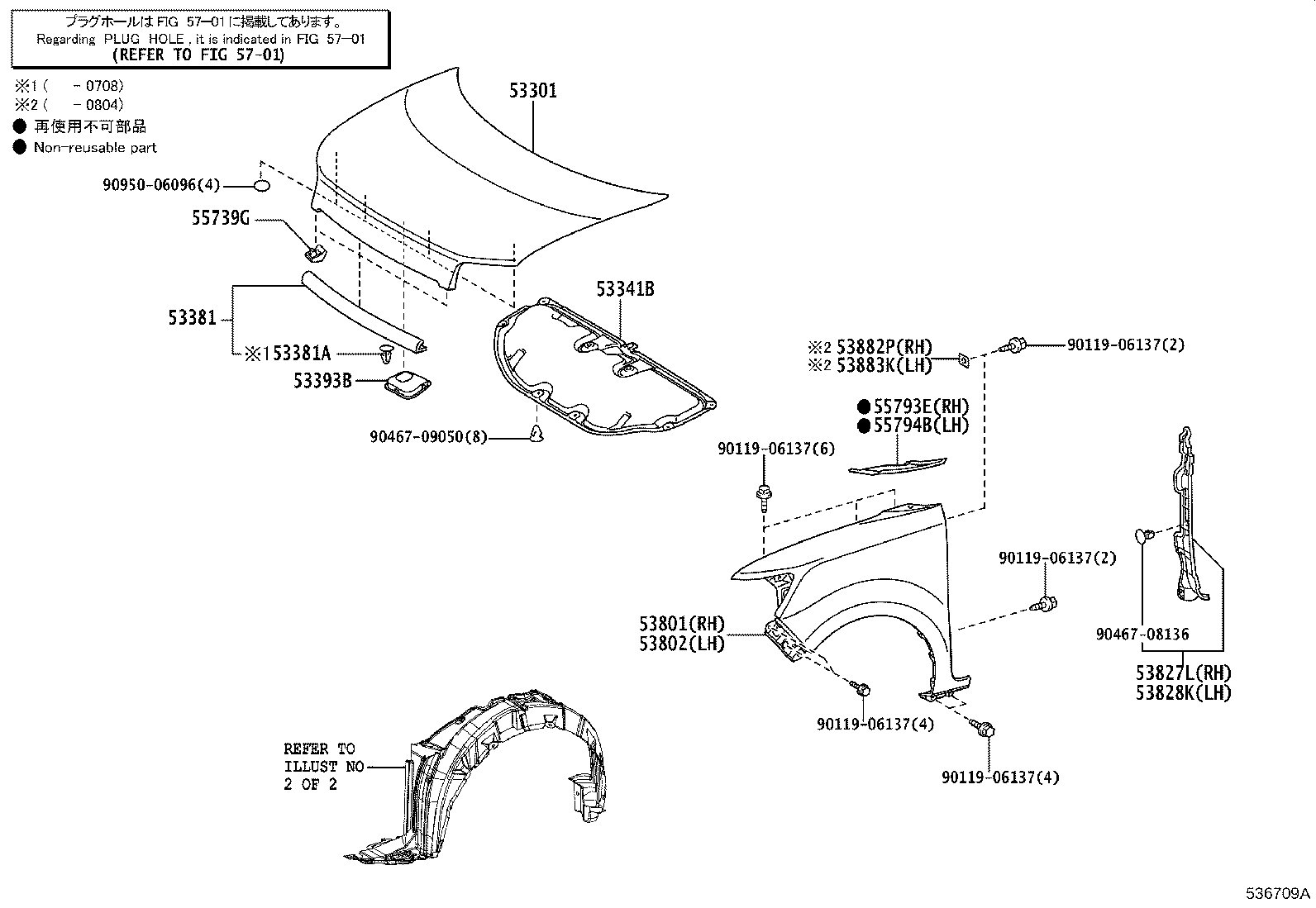 53875-12470 LINER, FRONT FENDER, RH product image