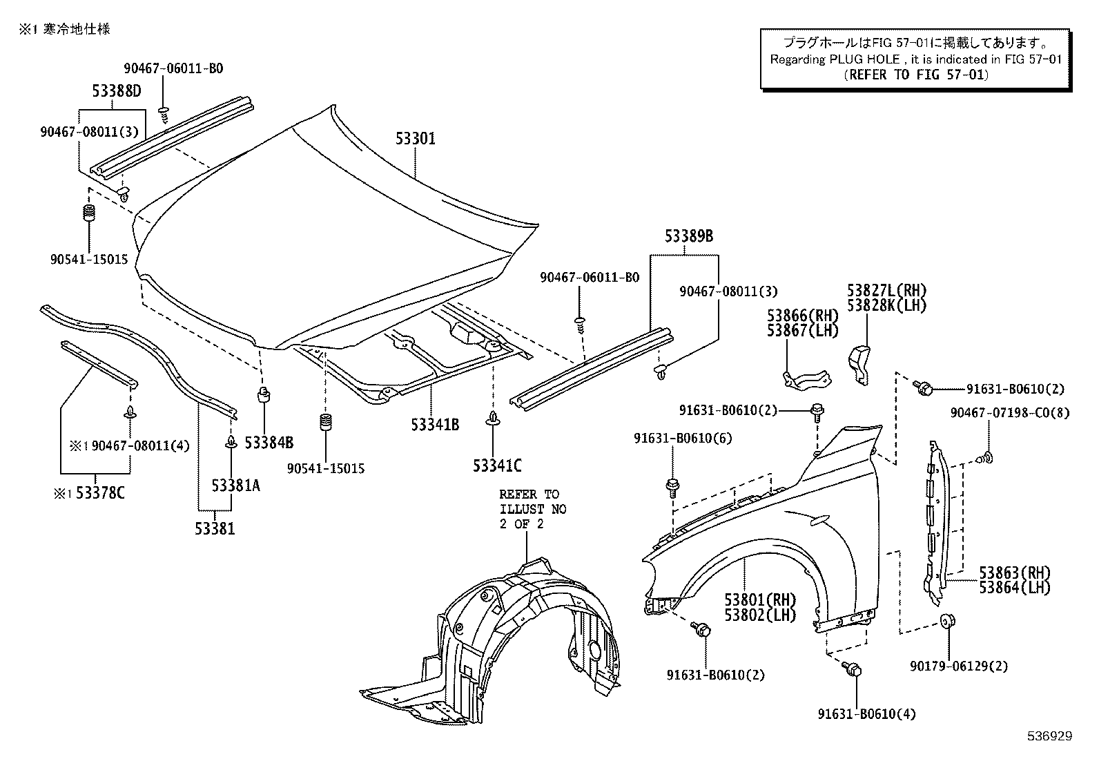 53827-22040 PROTECTOR, FRONT FENDER SIDE PANEL, RH product image