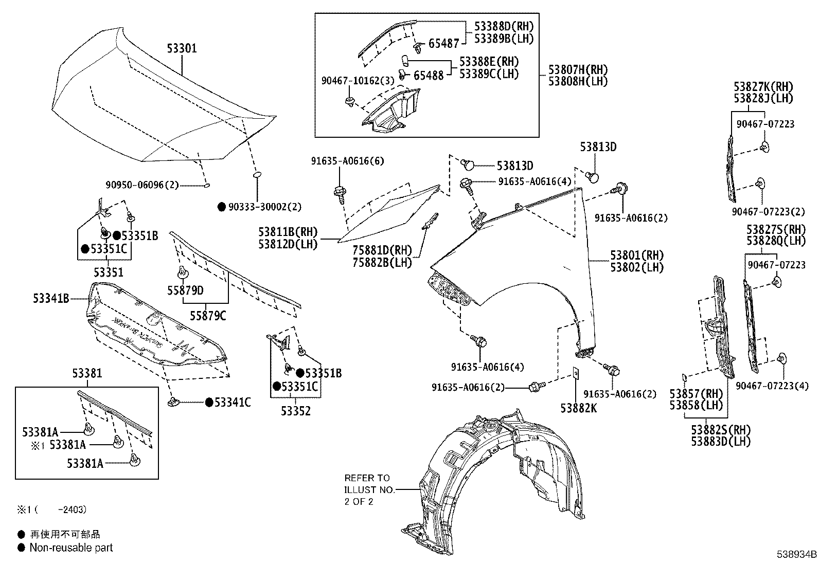 53813-71010 EXTENSION, FRONT FENDER product image